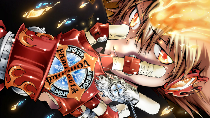 Katekyo Hitman Reborn! Tsuna with Flames and Vongola Gear