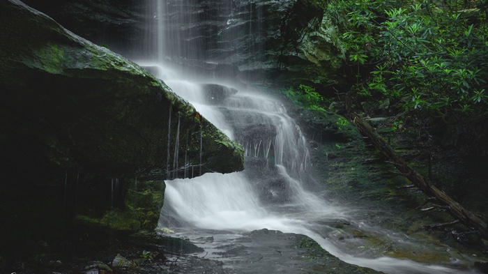Waterfall cascading over mossy rocks in a forest