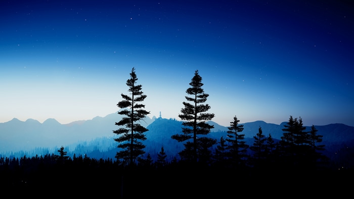 4K Far Cry 5 Starscape at Dawn