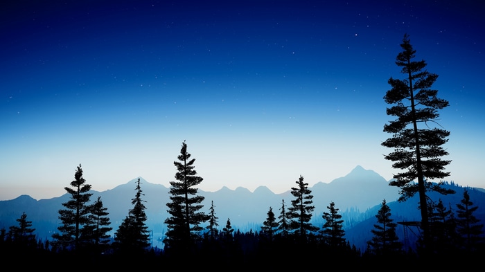 4K Far Cry 5 Starscape Reshade Wilderness