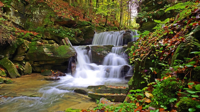 4K waterfall in Poland with mossy rocks and foliage