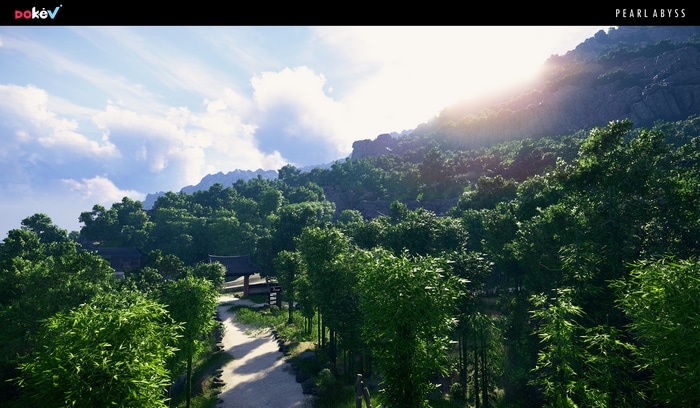 4K DokeV Pearl Abyss forest environment