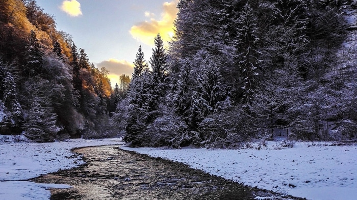 Winter river flowing through a snow-covered forest landscape