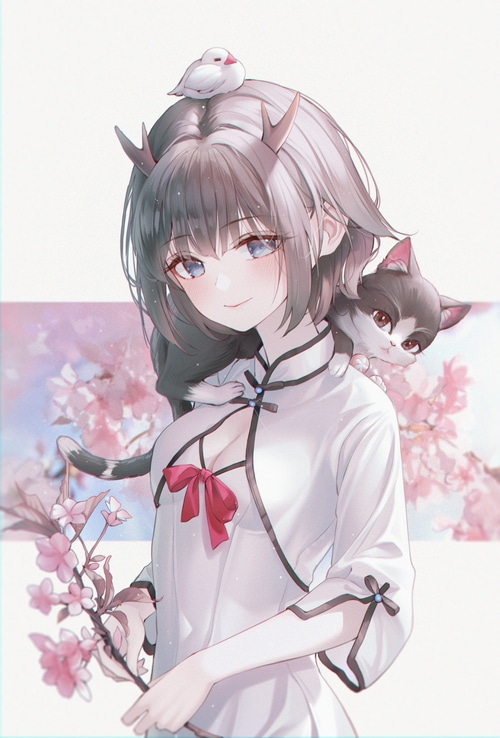 Anime girl with cat and bird near cherry blossoms