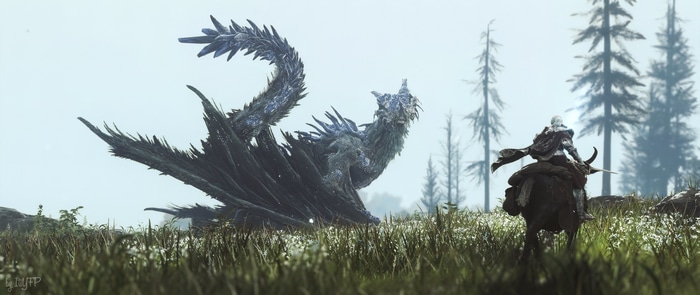 4K Elden Ring Dragon Encounter