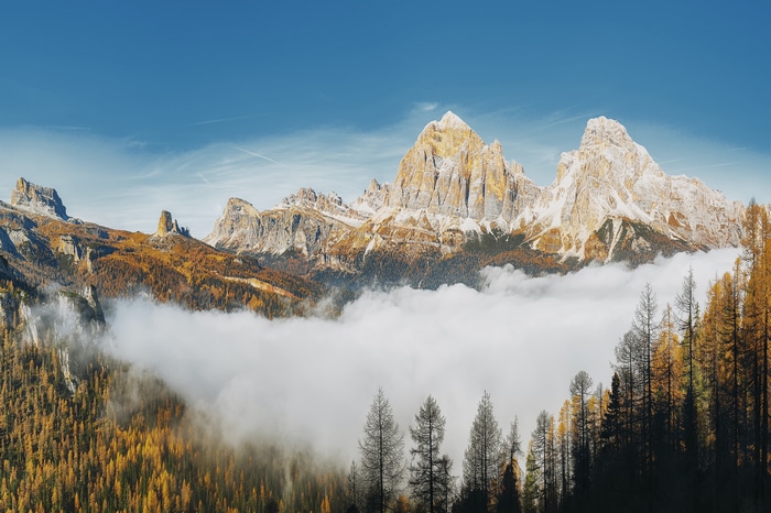 Autumn mountains with fog and trees