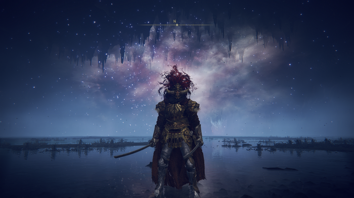 Elden Ring character in Nokron with swords