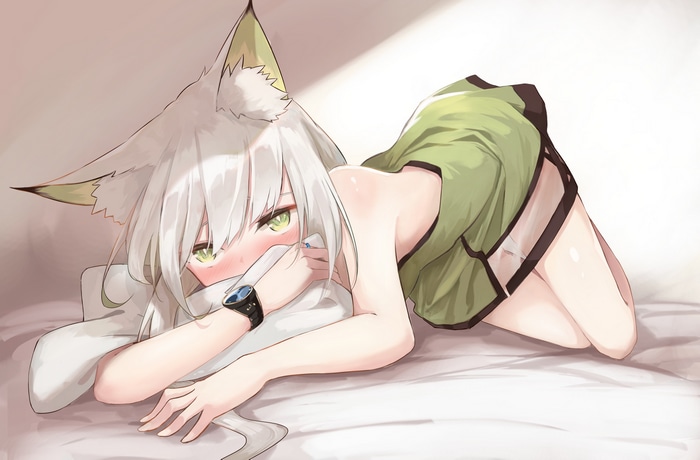 Kaltsit lying on a pillow with green eyes