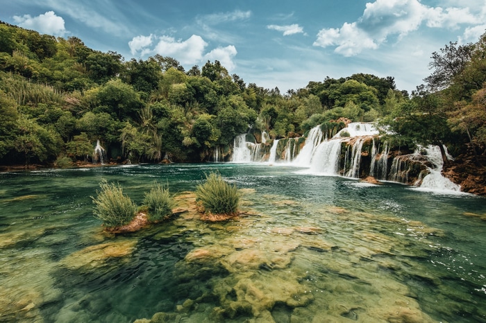 Waterfalls and lush green trees in a clear river