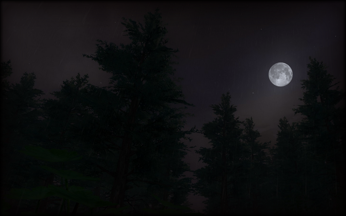 Night forest with moon and rain