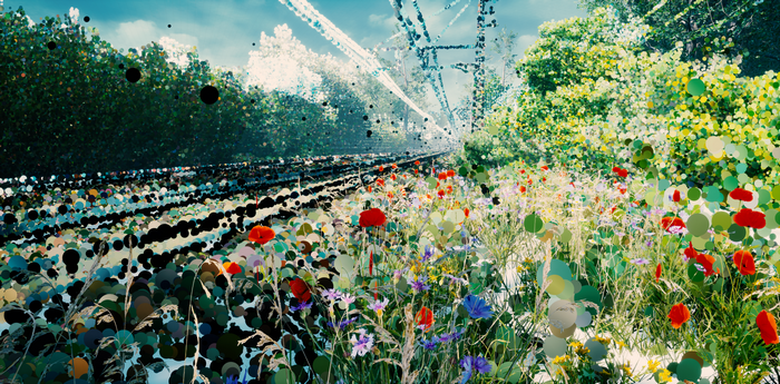 Flowers and geometric shapes by a railway