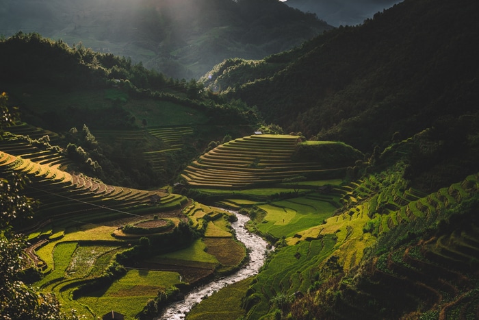 Terraced fields and river in a mountain valley
