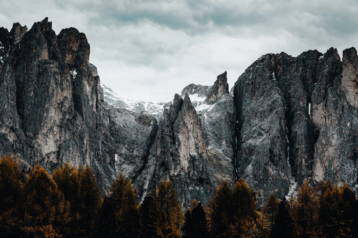 Jagged mountains with snow and pine forest