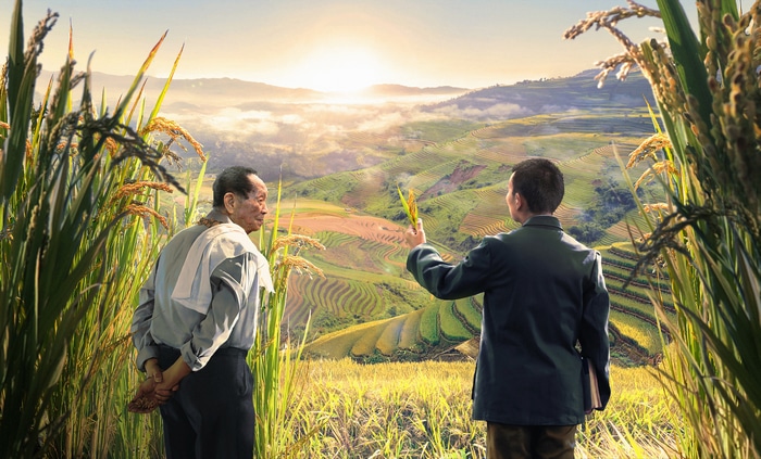 Yuan Longping and a farmer in rice fields at sunrise