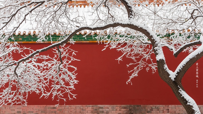 The Imperial Palace in snow with snow-covered trees