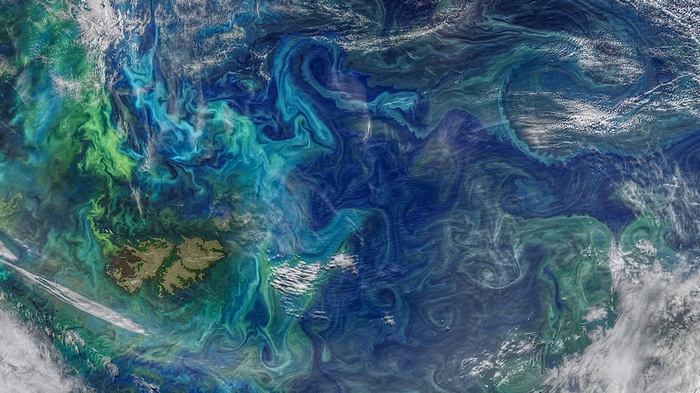 Algae bloom in the Atlantic Ocean near the Falkland Islands