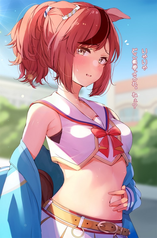 Nice Nature from Uma Musume Pretty Derby