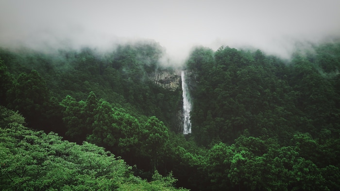4K Waterfall in Misty Forest Landscape