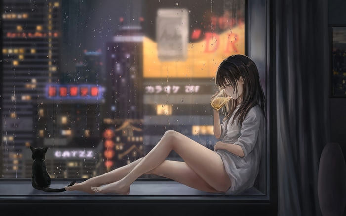 Girl and cat by window at night