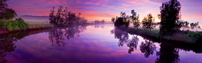 Purple sunset over a calm river with trees