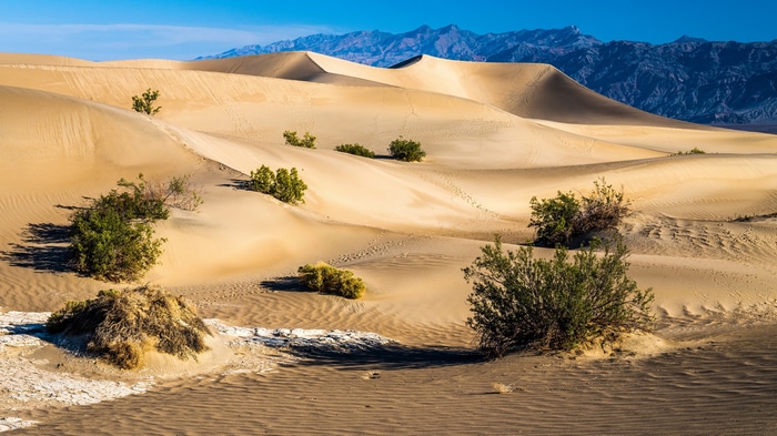 Death Valley sand dunes with mountains in California