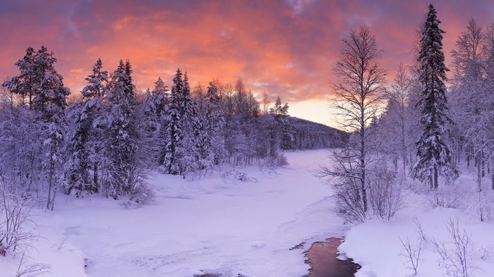 4K Winter Sunset Over Snowy Forest in Finland