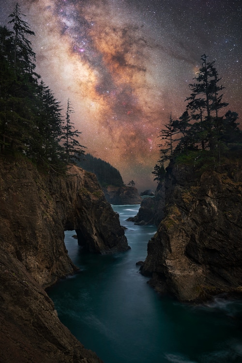 Milky Way over a rocky coastline with pine trees