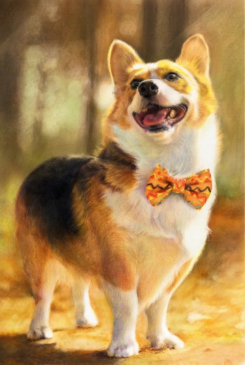 A smiling Corgi dog wearing a bow tie