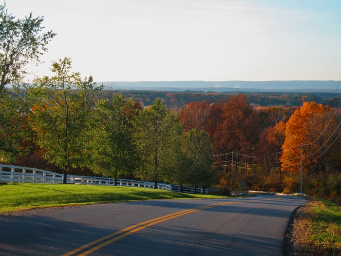 New York State Fall Landscape with Road and Fence
