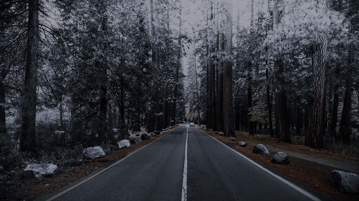 A car drives down a road through a forest in winter.