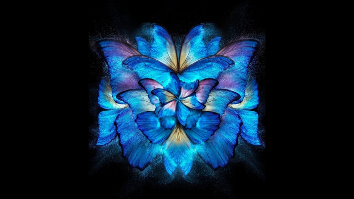 Blue butterflies arranged in a floral pattern