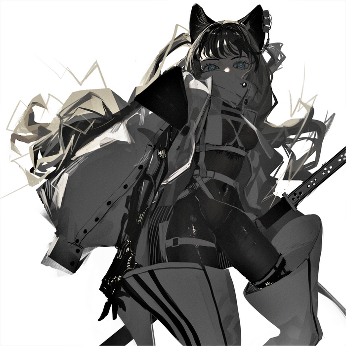 Anime girl with cat ears and sword
