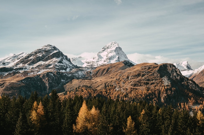 4K Snowy Mountains and Autumn Forest Landscape