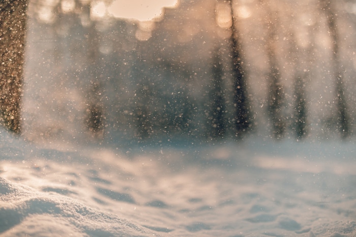 Sunlight falling on snow in a winter forest