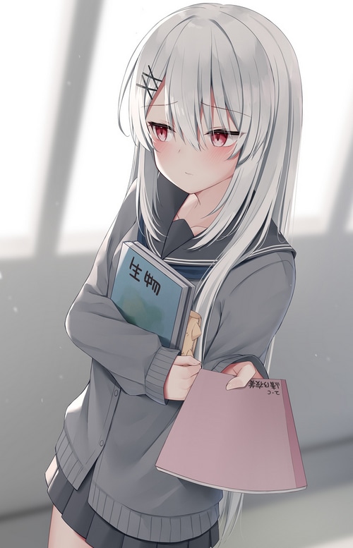 Anime girl with silver hair and red eyes holding books