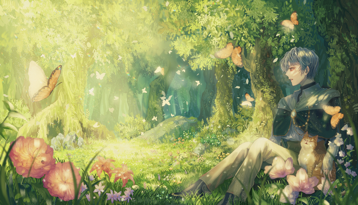 Anime boy with cat in a forest with butterflies