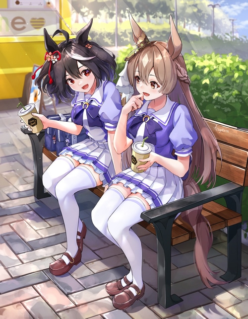 Satono Diamond and Kitasan Black from Uma Musume Pretty Derby