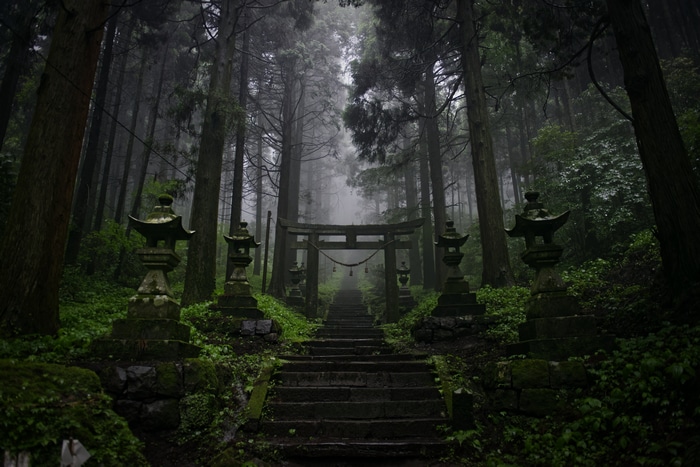 Misty forest with torii gate and stone lanterns