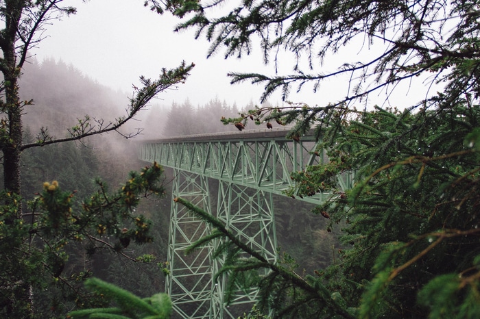 Green bridge in a misty forest