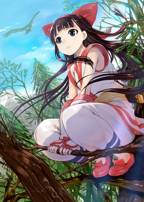 Nakoruru sitting on a tree branch with an eagle flying