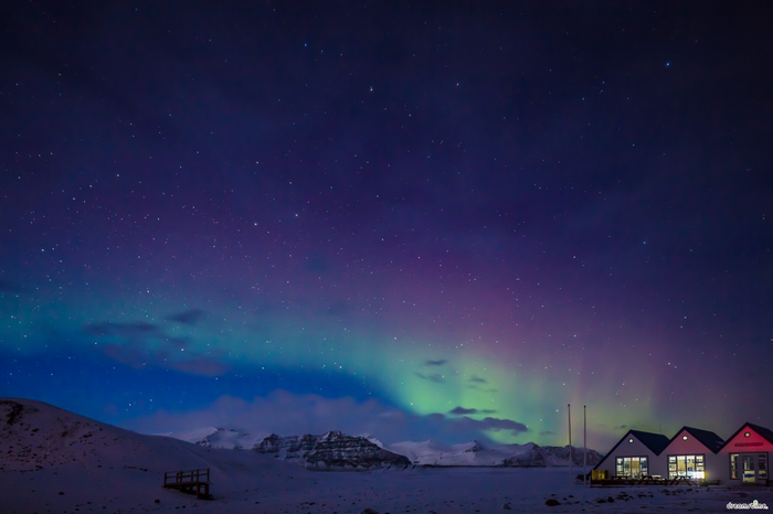 Aurora Borealis over snowy landscape with houses