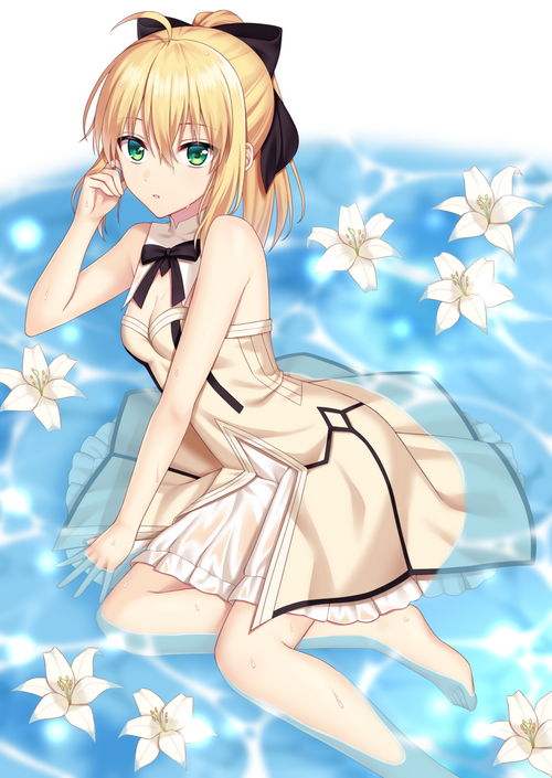 Saber Lily in water with lilies