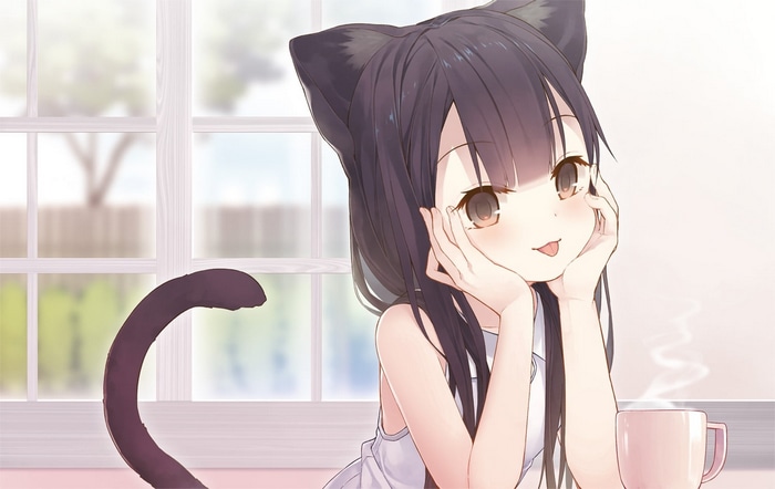 Anime Cat Girl with Tail and Ears