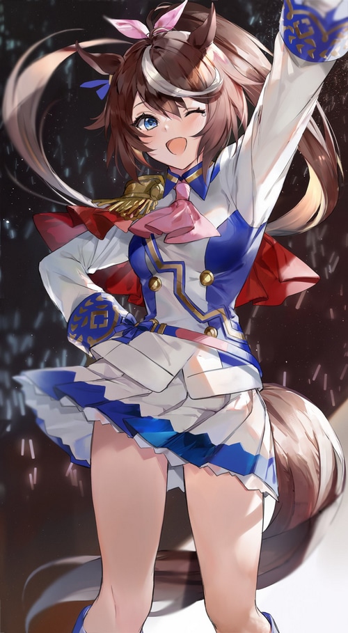 Tokai Teio from Uma Musume Pretty Derby