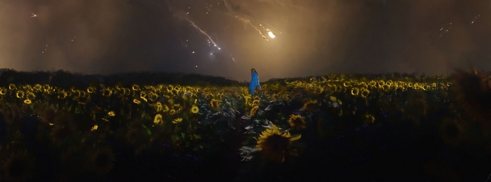 Woman in blue dress in sunflower field with shooting stars
