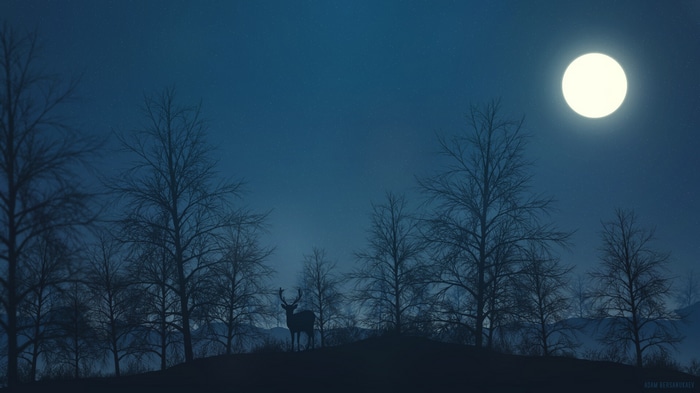 Deer in a forest under a full moon