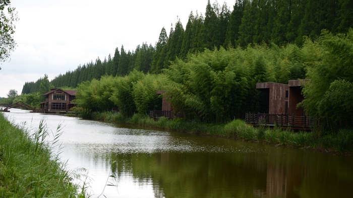 4K river with houses and bamboo forest