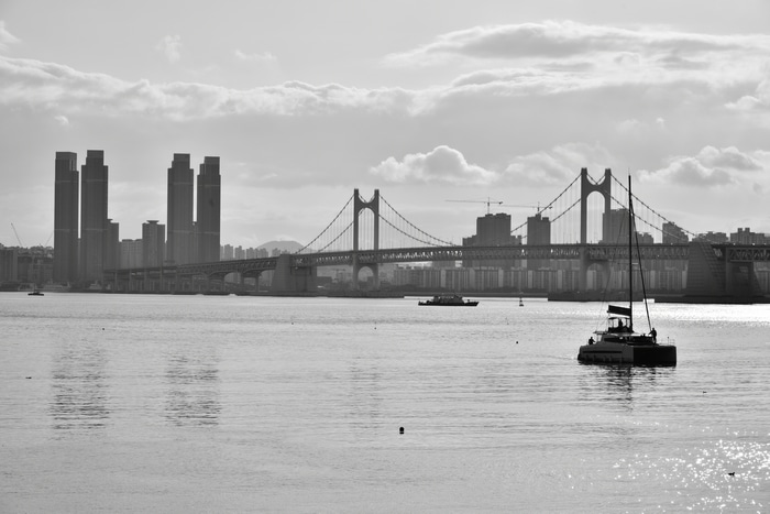 Busan cityscape with Gwangan Bridge and skyscrapers