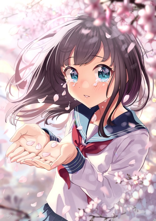 Taiga crying under cherry blossoms
