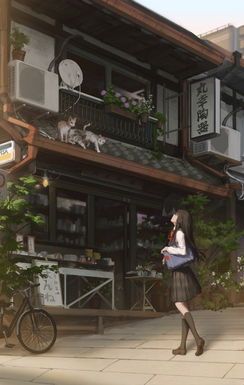 Cats on a roof above a shop with a girl looking up
